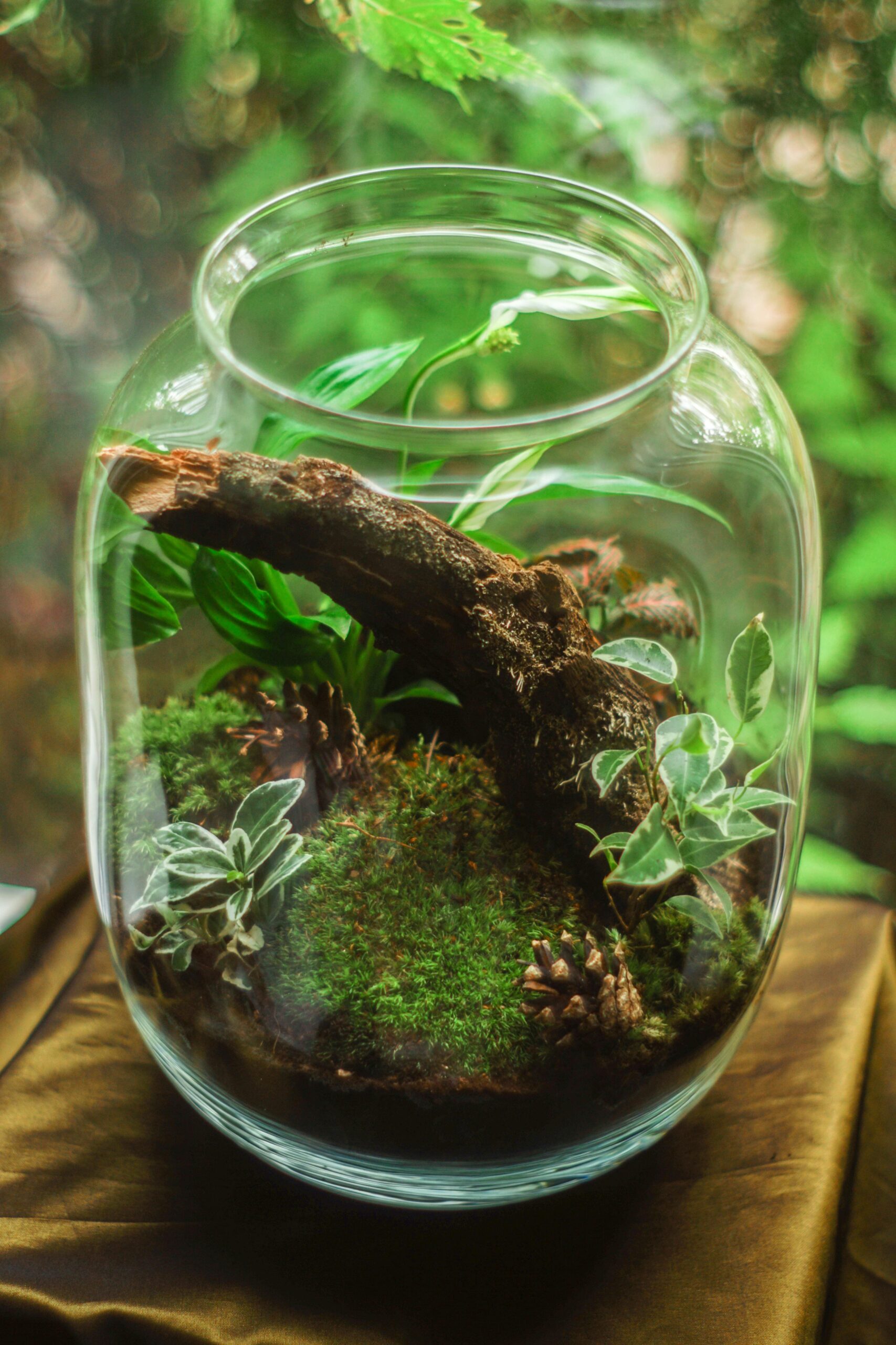 d.i.y project - terrarium